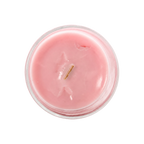 Champagne Whisper Soy Wax Candle