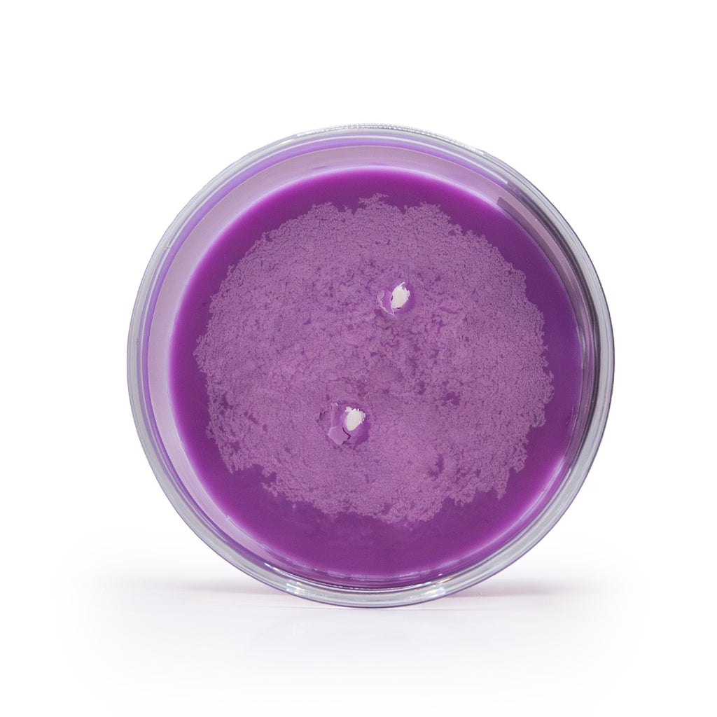 Velas de cera de soja B'Easey Selfcare - Twilight Garden | Lavanda y tomillo - 85 g